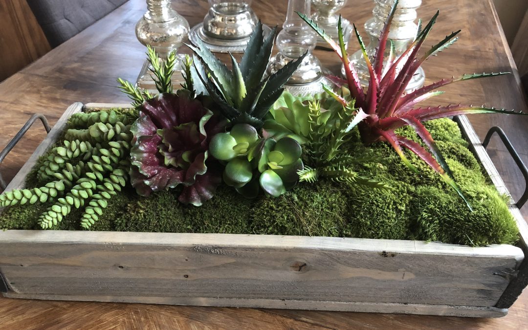 Bring the Garden Indoors with Succulents!