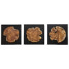 KOLINI WOOD DECOR