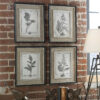 SET OF 4 GREY BOTANICAL FRAMED PRINTS - Image 3