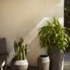NAHA COLLECTION - Image 3