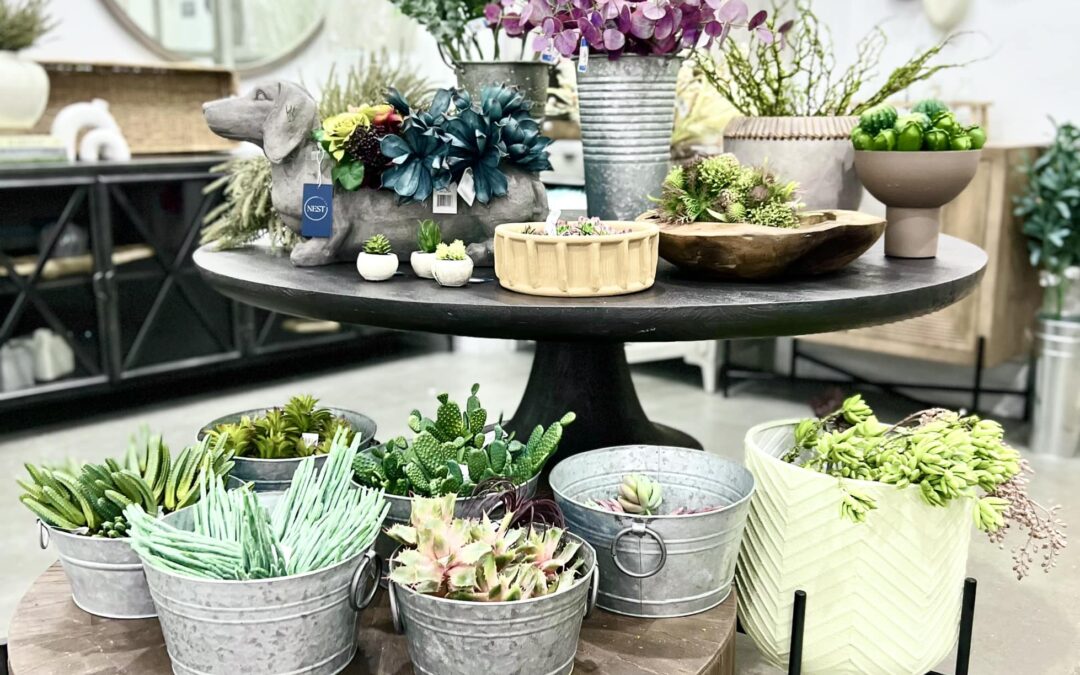 Exploring Why Every Home Needs a Dash of Plants and Greenery