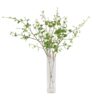 NIGRA BIRCH CENTERPIECE