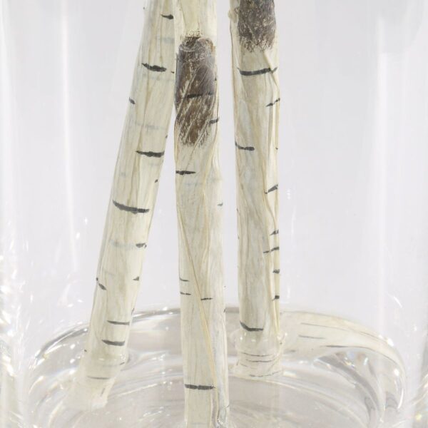 NIGRA BIRCH CENTERPIECE - Image 4