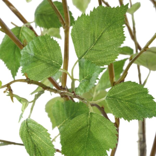 NIGRA BIRCH CENTERPIECE - Image 3