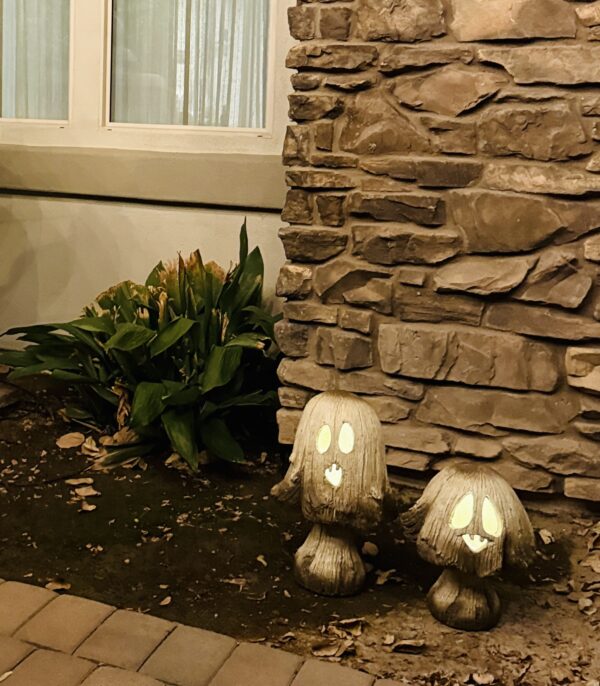 OUTDOOR JACK-O'-LANTERN MUSHROOM - Image 6