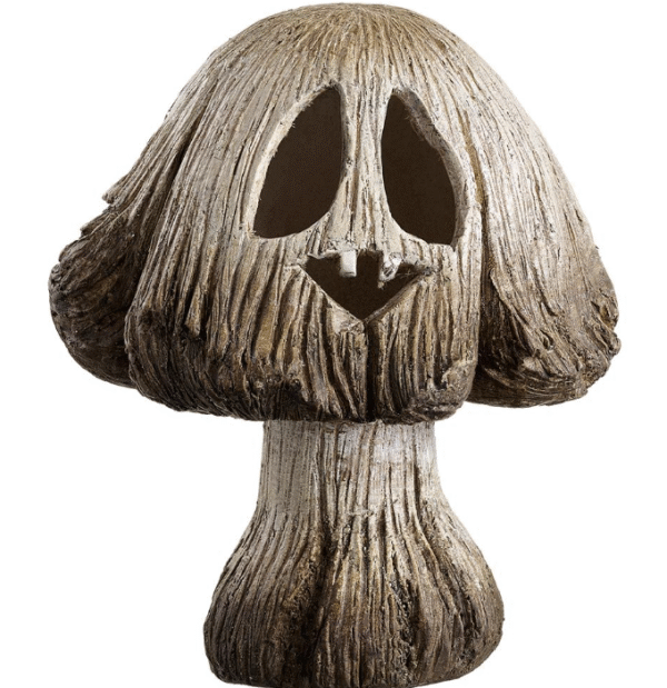 OUTDOOR JACK-O'-LANTERN MUSHROOM - Image 3