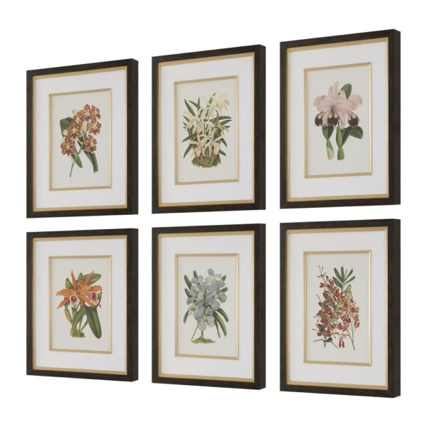 ORCHID BOTANICAL PRINTS SET - Image 4