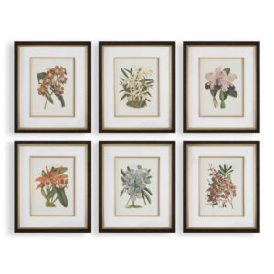ORCHID BOTANICAL PRINTS SET