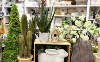 The Best Faux Stems for Modern Arizona Homes